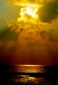 IIP Online Student Photography